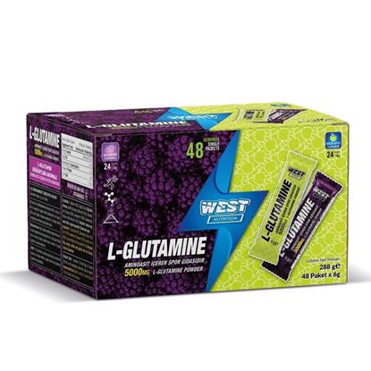 تصویر ال-گلوتامین ساشه ای 48عددی